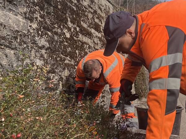 Zwei Bauhofmitarbeiter in orangefarbener Arbeitskleidung beugen sich über eine Blumenrabatte. Im Hintergrund ist eine Steinmauer und Bäume sichtbar.