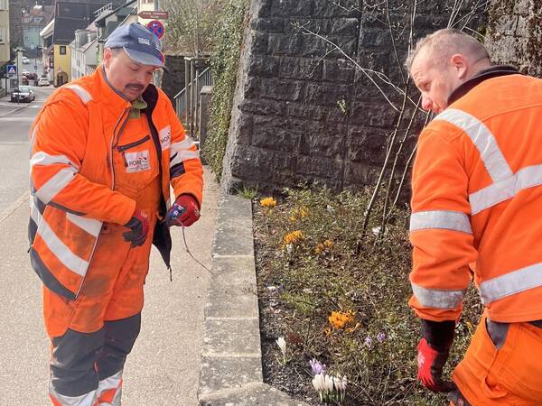 Zwei Arbeiter in orangefarbener Arbeitskleidung stehen an einer Mauer und kümmern sich um Pflanzen. Einer hält eine Schaufel, der andere beugt sich über einen Eimer.