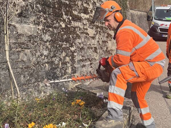 Ein Arbeiter in orangefarbener Arbeitskleidung schneidet mit einer Heckenschere Pflanzen an einer Mauer. Im Hintergrund sind Bäume und ein Fahrzeug sichtbar.