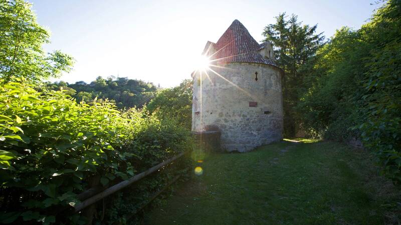 Auf dem Bild ist ein alter, runder Steinturm mit einem spitzen Dach zu sehen, der von dichten Büschen und Bäumen umgeben ist, während die Sonne durch die Blätter scheint.