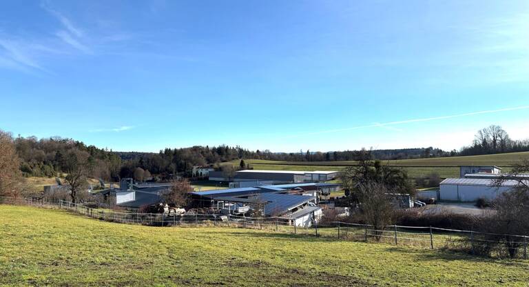 Eine ländliche Landschaft mit Wiesen im Vordergrund, mehreren Industriegebäuden in der Mitte und einem Wald am Horizont unter einem klaren blauen Himmel.