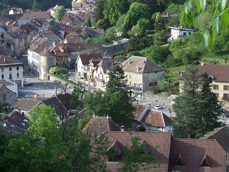 Aussicht auf eine Stadt umgeben von Bäumen und Sträuchern.