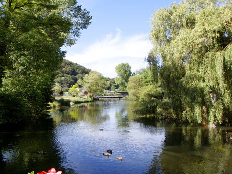 Der Neckar fließt durch eine grüne Landschaft mit Bäumen und Blumen, während Enten auf dem Wasser schwimmen und im Vordergrund eine Brücke mit roten und weißen Blumen zu sehen ist.