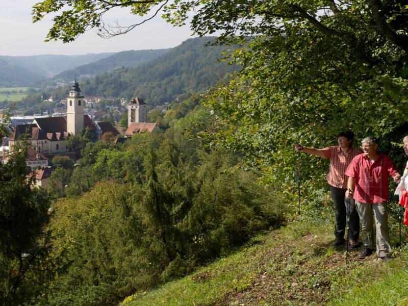 Drei Personen stehen am Waldrand und blicken auf das Horber Tal mit einer Kirche und dem Neckar in der Ferne.