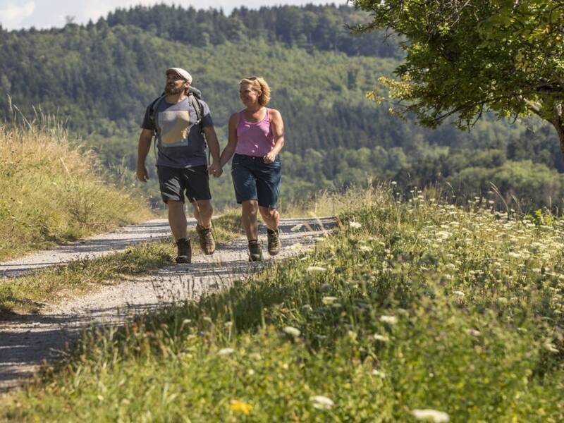 Ein Mann und eine Frau wandern auf einem schmalen, von Bäumen gesäumten Pfad durch eine grüne, hügelige Landschaft.