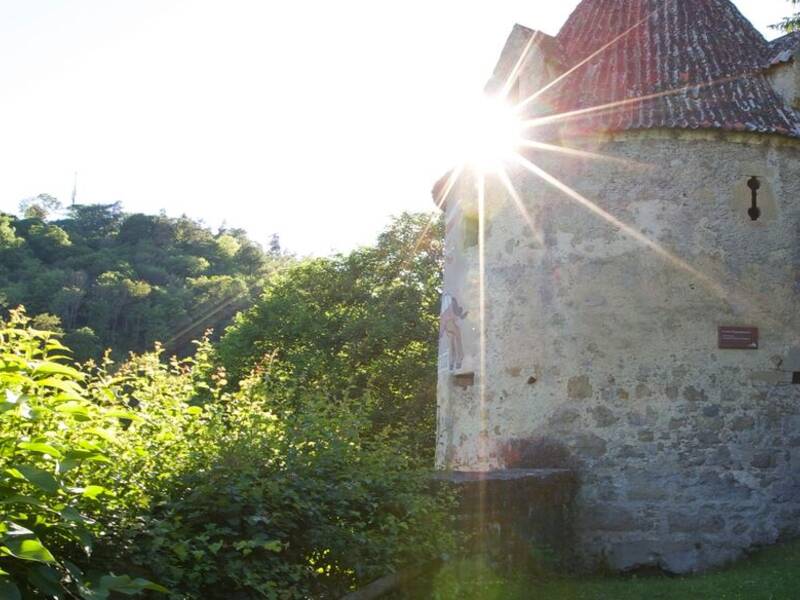 Auf dem Bild ist ein alter, runder Steinturm mit einem spitzen Dach zu sehen, der von dichten Büschen und Bäumen umgeben ist, während die Sonne durch die Blätter scheint.