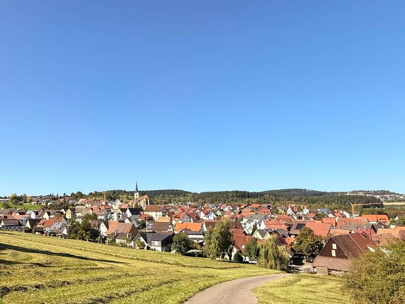 Auf dem Bild ist eine ländliche Siedlung mit roten Dächern vor einer bewaldeten Hügelkette unter einem klaren blauen Himmel zu sehen.
