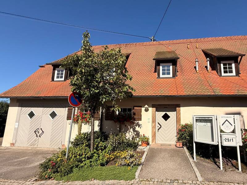 Ein Haus mit roten Dachziegeln und einem Baum im Vorgarten, das durch Blumen und einen blauen Himmel umgeben ist.