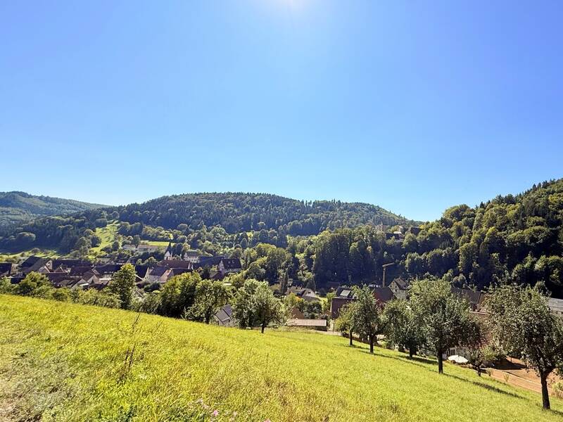 Eine hügelige Landschaft mit grünen Wiesen und dichten Wäldern, im Hintergrund ein kleiner Ort mit Häusern unter einem strahlend blauen Himmel.