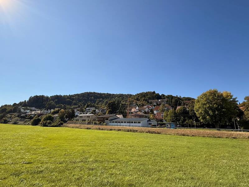 Eine grüne Wiese mit Blick auf ein Dorf vor einem bewaldeten Hügel unter klarem, blauem Himmel.