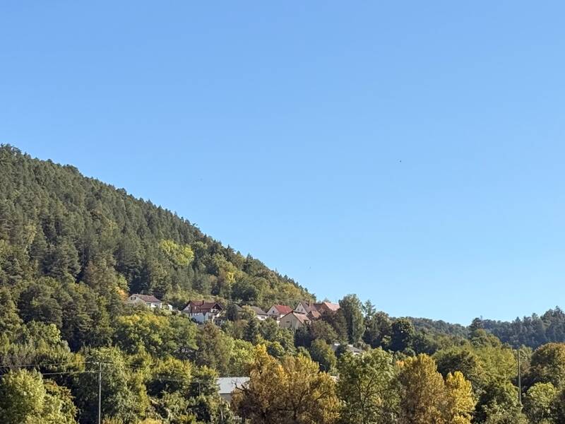 Ein bewaldeter Hügel mit vereinzelten Häusern auf halber Höhe vor einem klaren, blauen Himmel.