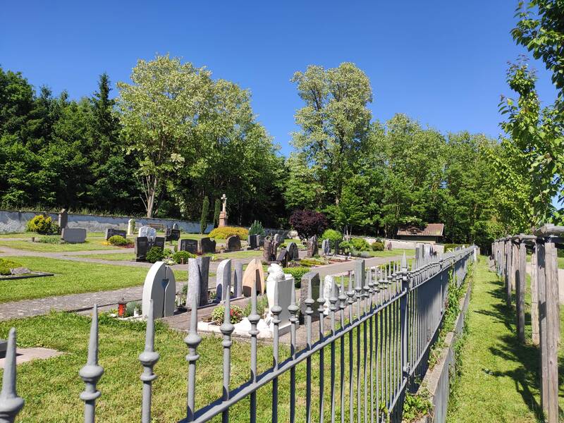 Friedhof mit Grabsteinen und gepflegtem Rasen, umgeben von Bäumen bei klarem Himmel.