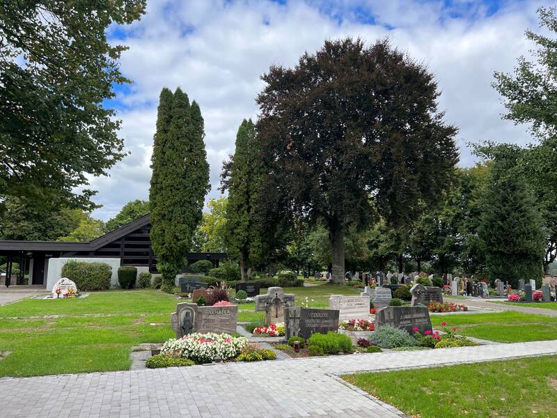 Ein friedlicher Friedhof mit mehreren Grabsteinen, geschmückt mit Blumen und von hohen Bäumen umgeben, unter einem bewölkten Himmel.