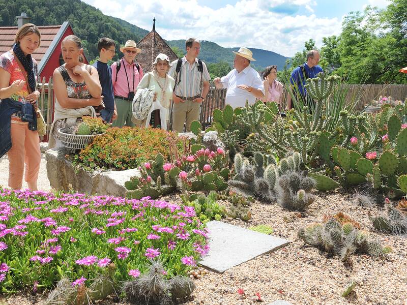 Das Bild zeigt eine Menschengruppe vor einem Kakteengarten mit bunten Blüten