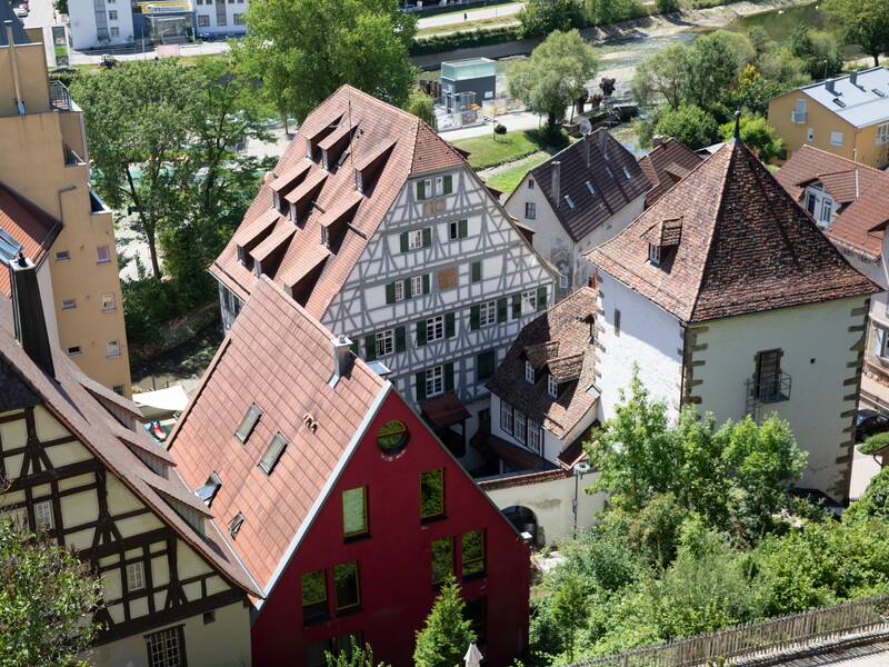 Weißer Garten - Ausblick