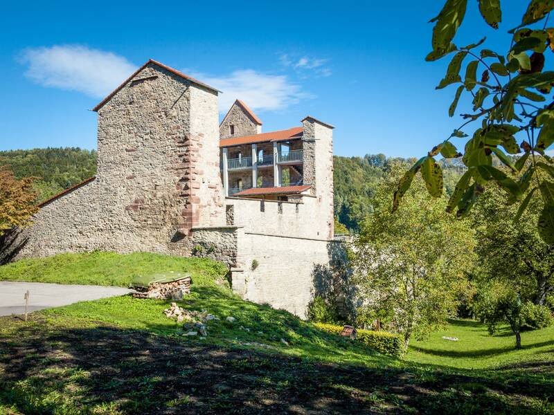 Eine Burgruine mit rotem Ziegeldach umgeben von grünen Wiesen und Bäumen. Im Hintergrund ein blauer Himmel.