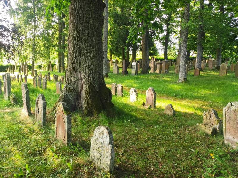 Jüdischer Friedhof mit alten Grabsteinen zwischen hohen Bäumen auf grünem Gras.