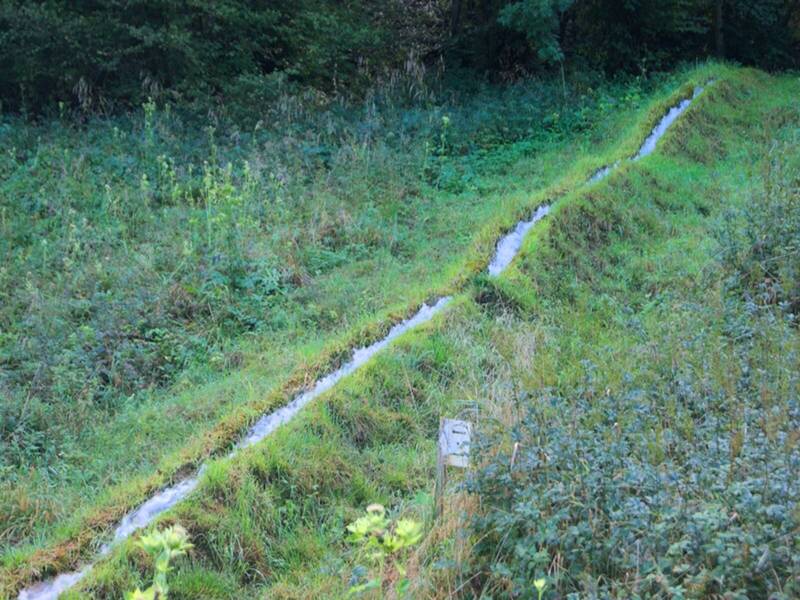 Ein schmaler Bach, der durch eine Wiese fließt.
