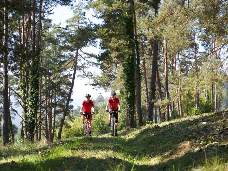 Zwei Radfahrer mit rotem Shirt fahren durch einen Wald auf einem Wiesenweg.