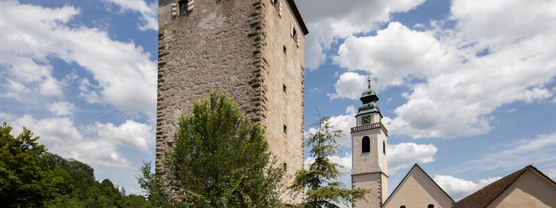 Ein historischer Turm umgeben von Sträuchern. Im Hintergrund sind eine Kirchturm und Gebäude zu sehen.