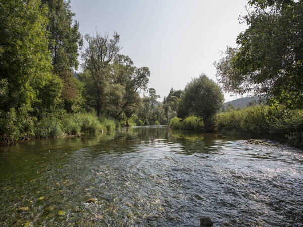 Ein ruhiger Fluss fließt durch eine grüne, von Bäumen gesäumte Landschaft.
