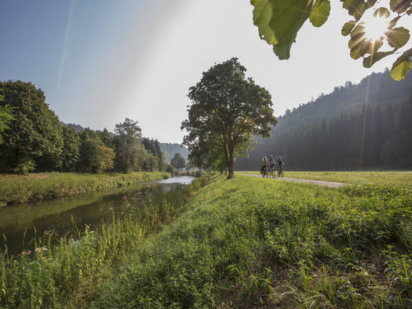 drei Fahrradfahrer fahren entlang eines Feldwegs in grüner Landschaft