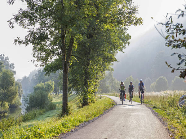 drei Fahrradfahrer fahren entlang eines Feldwegs in grüner Landschaft