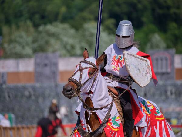 Ein Ritter in farbenfroher Rüstung reitet auf einem Pferd in einer historischen Turnierkulisse.