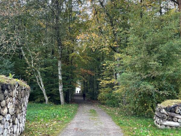 Waldweg mit Laubbäumen auf beiden Seiten und zwei Personen, die in der Ferne gehen.