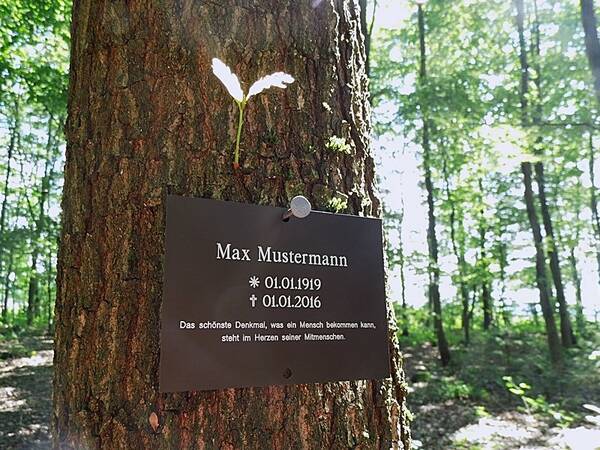 Gedenktafel an einem Baum mit dem Namen Max Mustermann, Geburts- und Sterbedatum, und einem Zitat über Erinnerung.