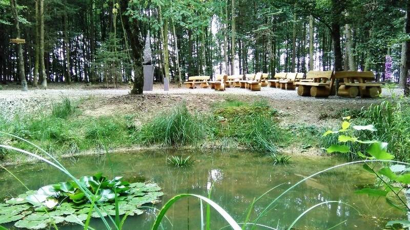 Kleiner Teich mit Seerosen und umliegendem Gras, im Hintergrund mehrere Holzbänke und Tische im Wald.
