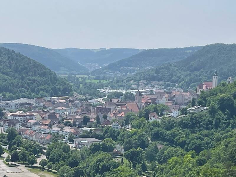 Blick auf die Stadt Horb am Neckar mit historischen Gebäuden, umgeben von bewaldeten Hügeln und Bergen im Hintergrund.