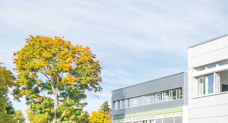 Schulgebäudekomplex mit großen Fenstern und Bäumen im Hintergrund.