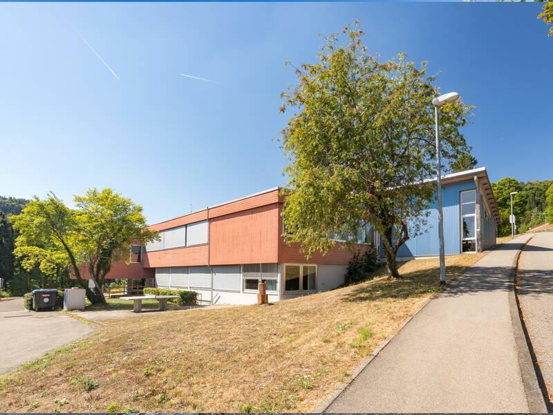 Das Bild zeigt die Hausfassade der Grundschule in Dettingen. 