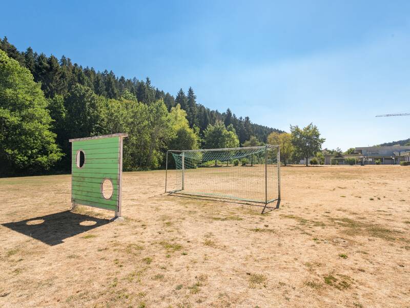 Das Bild zeigt einen Fußballplatz unter blauem Himmel.