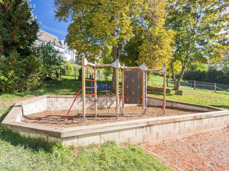 Das Bild zeigt den Schulhof umgeben von Bäumen.
