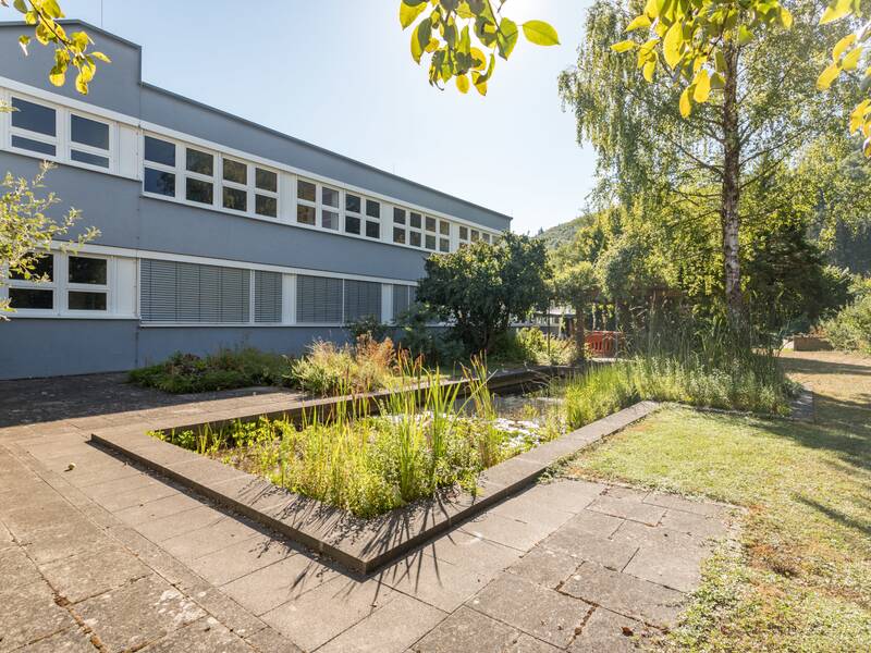 Ein grüner Garten im Schulgebiet 
