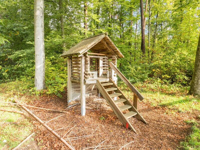 Ein kleines hölzernes Spielhaus mit Treppe steht in einem üppigen, grünen Wald.