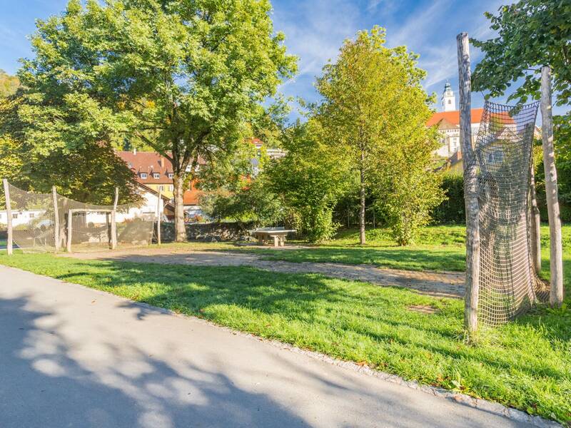 zwei Fußballtore auf einer Wiese umgeben von Bäumen in einem Wohngebiet
