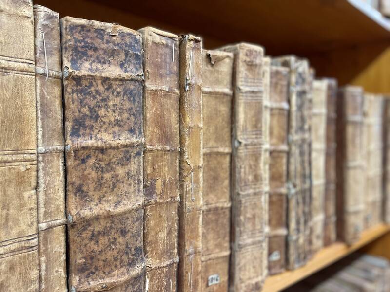Reihe alter, abgenutzter Bücher mit braunen und schwarzen Einbänden auf einem Regal.