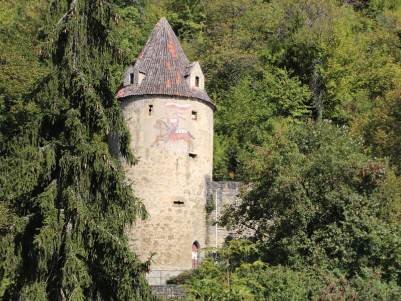 Ein historischer Turm mit Ziegeldach und Bemalungen umgeben von Bäumen.