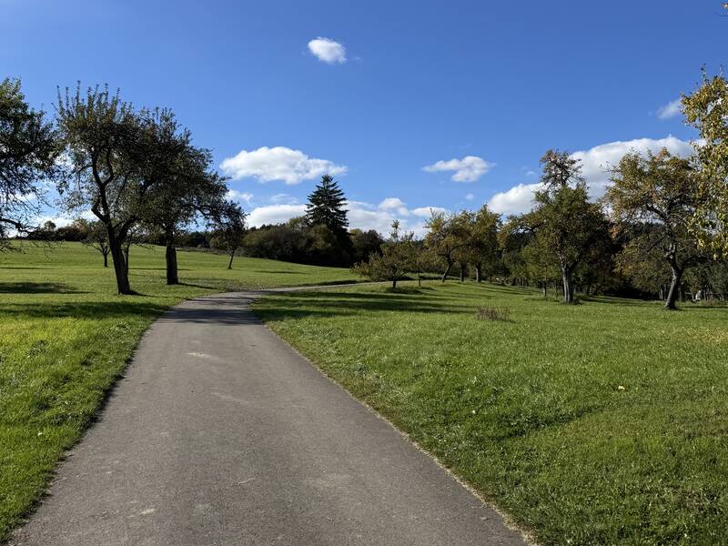 Ein schmaler Asphaltweg führt durch eine grüne Wiese mit vereinzelten Bäumen unter einem klaren blauen Himmel mit einigen Wolken.