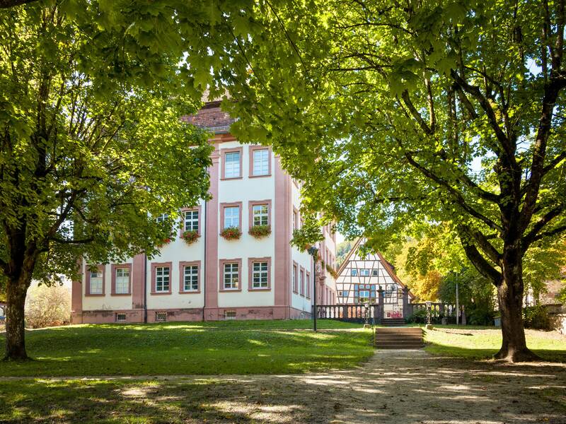 Ein Schattenbedeckter Weg zum Schloss in Dettingen 