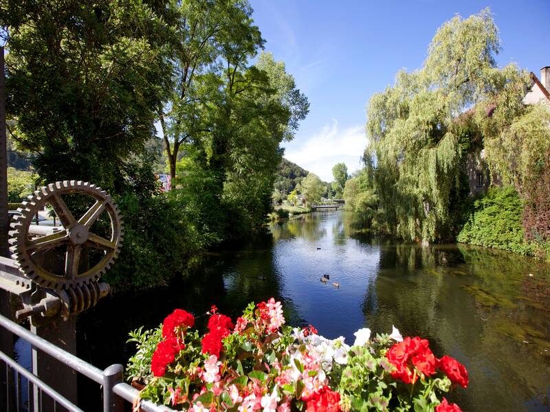 Ein Fluss fließt ruhig durch eine grüne, baumbestandene Landschaft, während im Vordergrund rote und weiße Blumen zu sehen sind.