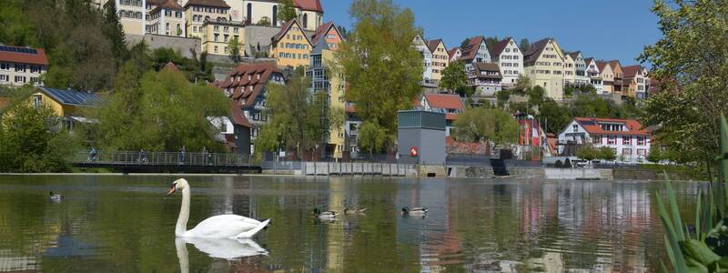 Der Neckar mit blick auf die Stadtsilhouette 