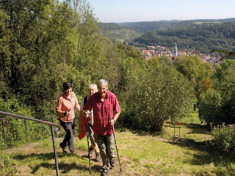 Drei Personen wandern mit Stöcken einen grasbewachsenen Hügel hinauf, im Hintergrund ist eine Stadt mit einem Kirchturm inmitten einer grünen Landschaft sichtbar.