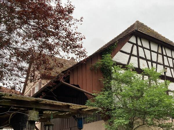 Das Bild zeigt ein altes Fachwerkhaus mit weißem Putz und dunklem Holzgebälk, umgeben von Bäumen und einem bewölkten Himmel.